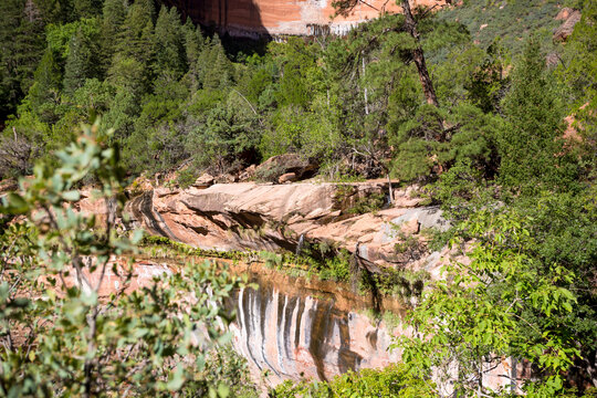 The Emerald Pools area in Zion National Park, Utah