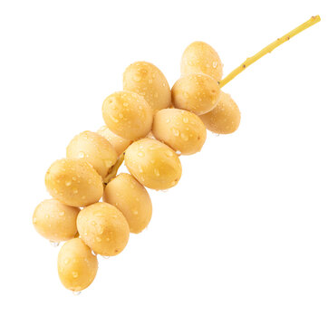 Fresh yellow dates with water droplets isolated on white.