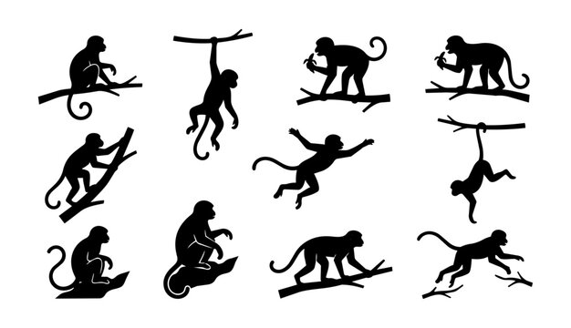 Large collection of twenty-four black monkey silhouettes in diverse poses including sitting, hanging, climbing, jumping, and eating, perfect for jungle-themed designs.