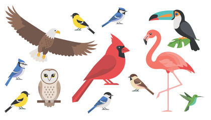 Fototapeta premium Variety of birds featuring an eagle, owl, flamingo, toucan, and cardinal presented as isolated illustrations.