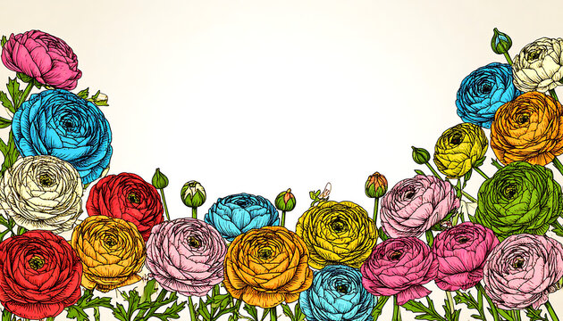 colorful floral border with ranunculus flowers, pink, blue, red, yellow, green, orange, pastel background, delicate drawing, scrapbook element