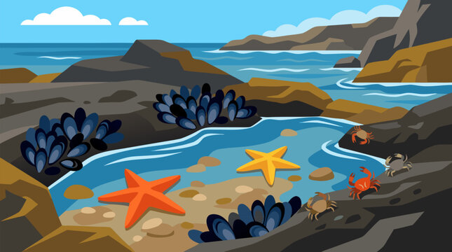 Vibrant coastal tide pool ecosystem with colorful starfish, clustered blue mussels, and scuttling crabs among rocky shoreline pools, ocean waves, and dramatic cliffs in detailed flat vector marine