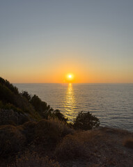 Obraz premium Tamarix Tree silhouette at golden sunset on Aegean Coast of Ikaria Island in Greece