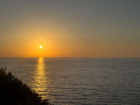 Tamarix Tree silhouette at golden sunset on Aegean Coast of Ikaria Island in Greece