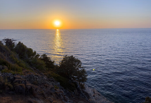 Tamarix Tree silhouette at golden sunset on Aegean Coast of Ikaria Island in Greece