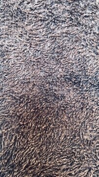High-resolution close-up of brown curly faux fur texture with dense wool-like fibers. Perfect for textile backgrounds, upholstery, fashion materials, luxury fabric concepts, and abstract texture colle