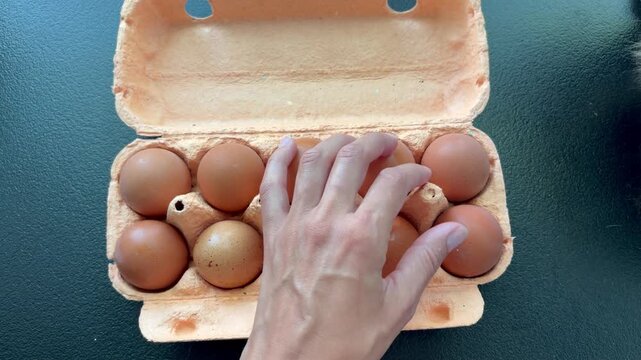 a hand picking a fresh brown egg from a cardboard carton
