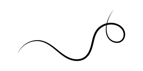 Obraz premium Single black ink brush stroke line with a loop swirl design