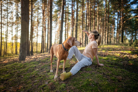Carefree woman enjoying peaceful forest walk with dog on warm summer day, relaxed female hiker sitting on ground basking in sun observing woodlands, harmony and inner peace, outdoor leisure activity.