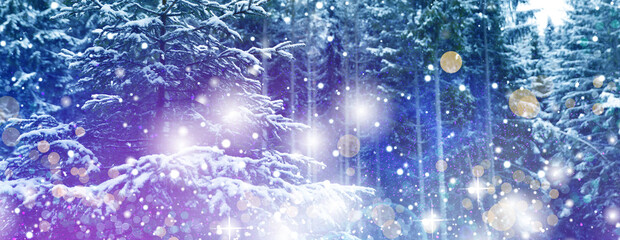 Obraz premium Snowy forest and magic lights in winter, banner design