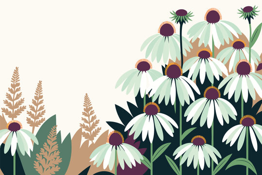 Beautiful white echinacea coneflower blossoms growing with wild fern leaves vector background layout, floral beauty concept