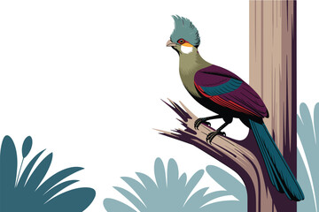 Fototapeta premium Beautiful exotic turaco bird with a green crest perched on a bare wooden branch in the tropical forest, wildlife concept