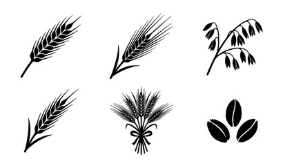 Create a premium vector icon collection featuring 30 unique black cereal grain silhouette icons isolated on a solid white background. Include wheat ears, barley stalks, oat sprigs, rye spikes, rice pa © Md