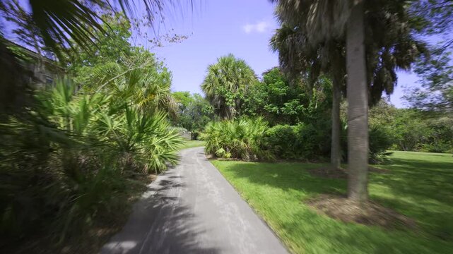 Park trail sawgrass sanctuary Florida 4k HDR dolby vision