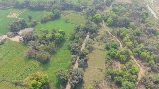 Aerial landscape of the Indian countryside showing the transition from agricultural village to dense forest jungle in Bihar.