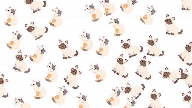 Many cute little siamese cat illustrations on white background. Suitable for catthemed designs, childrens illustrations, stationery, and fabric prints.