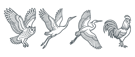 Fototapeta premium Set of birds including owl heron crane and rooster bird.