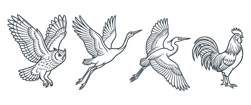 Set of birds including owl heron crane and rooster bird.