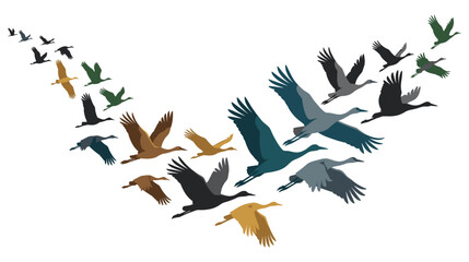 Fototapeta premium Migrating flock of cranes flying in formation in sky.
