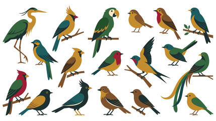 Obraz premium Diverse collection of colorful wild bird illustrations.