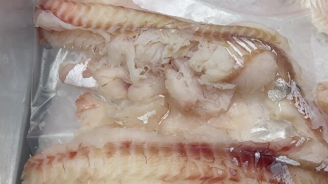 Fresh cod fillets on ice display, trimmed pale pink flesh arranged on crushed ice at seafood market counter