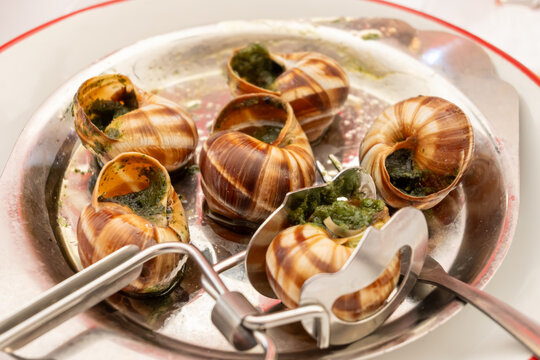 Close-up of oven baked Burgundy escargots served in their shells with garlic‑parsley butter  in Paris caf&eacute;, highlighting classic French gastronomy