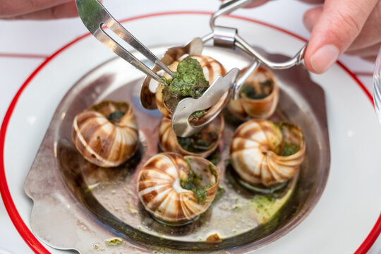Close-up of oven baked Burgundy escargots served in their shells with garlic‑parsley butter  in Paris caf&eacute;, highlighting classic French gastronomy