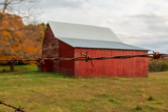A shallow depth of field image of a prong on a barbed wire fence with a blurry red barn and trees with autumn leaves in the background. Copy space is in the image.