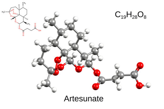 Structure of antimalarial medication artesunate. Chemical formula, structural formula, and 3D ball-and-stick model