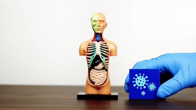 A doctor's hand displays a cube with a virus icon next to an anatomical model. Concept of infectious disease awareness and viral outbreak prevention. Isolated. Slow motion.