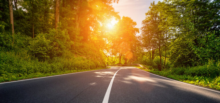 highway into Silent Forest in spring with beautiful bright sun r