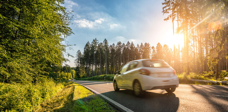 highway into Silent Forest in spring with beautiful bright sun rays