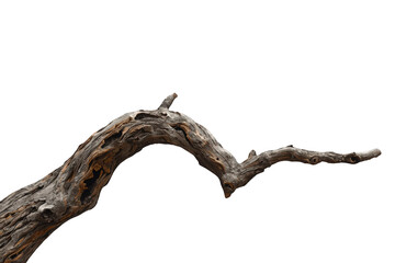 Fototapeta premium Gnarled old dry tree branch with rough texture, showing aged wood and organic shape on transparent background