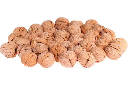 Walnuts are isolated on a white background,
