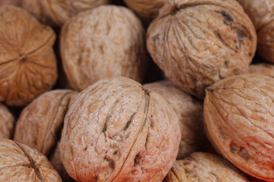 Walnuts are isolated on a white background,