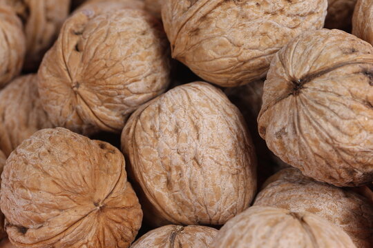 Walnuts are isolated on a white background,