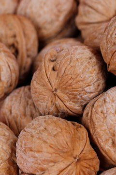 Walnuts are isolated on a white background,
