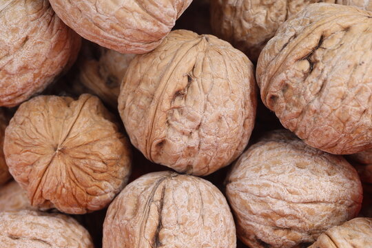 Walnuts are isolated on a white background,