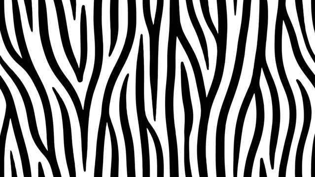 Black and white zebra stripes pattern design for graphics and textures . Vector Flat Illustration.