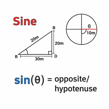 Trigonometric sine function formula with right triangle and circle geometry vector design