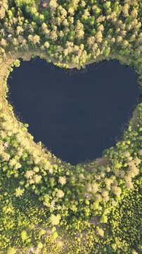 High-angle perspective of a beautiful heart shape lake surrounded by lush pine trees during golden hour. Professional drone photography showcasing pristine Swedish landscape.