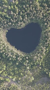 High-angle perspective of a beautiful heart shape lake surrounded by lush pine trees during golden hour. Professional drone photography showcasing pristine Swedish landscape.