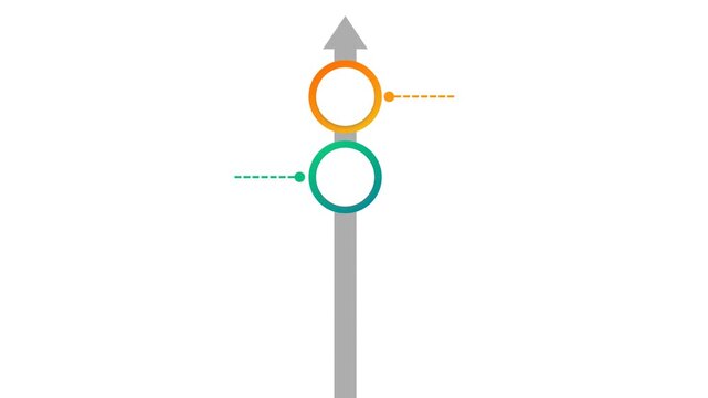 Animated Vertical Timeline Infographic with Growing Multi-Colored Process Steps