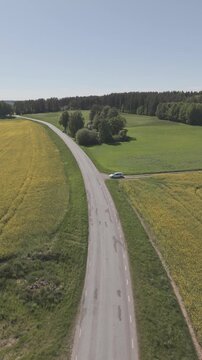 High-angle perspective of a driving road in the Swedish countryside. Professional drone showcasing colorful fields, evergreen pine trees, and a soft blue horizon at daylight.