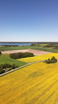 High-angle perspective of a driving road in the Swedish countryside. Professional drone showcasing colorful fields, evergreen pine trees, and a soft blue horizon at daylight.