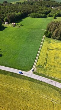 High-angle perspective of a driving road in the Swedish countryside. Professional drone showcasing colorful fields, evergreen pine trees, and a soft blue horizon at daylight.