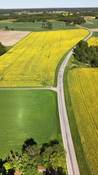 High-angle perspective of a driving road in the Swedish countryside. Professional drone showcasing colorful fields, evergreen pine trees, and a soft blue horizon at daylight.
