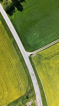 High-angle perspective of a driving road in the Swedish countryside. Professional drone showcasing colorful fields, evergreen pine trees, and a soft blue horizon at daylight.