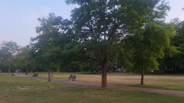 Trees at Local Public Park of Luton City England UK, Footage Was Captured During Walk on July 9th, 2026