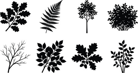 Collection of black botanical silhouettes featuring oak leaves fern frond bush and branches isolated on a white background © MdSaiful